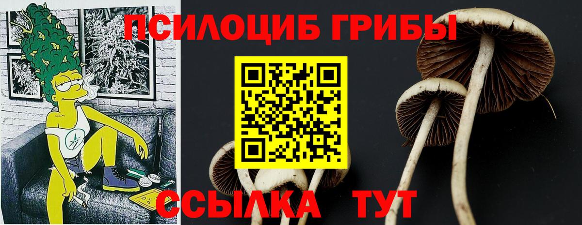 Курчалой  наркошоп  Вход с VPN  Галлюциногенные грибы мухоморы 
