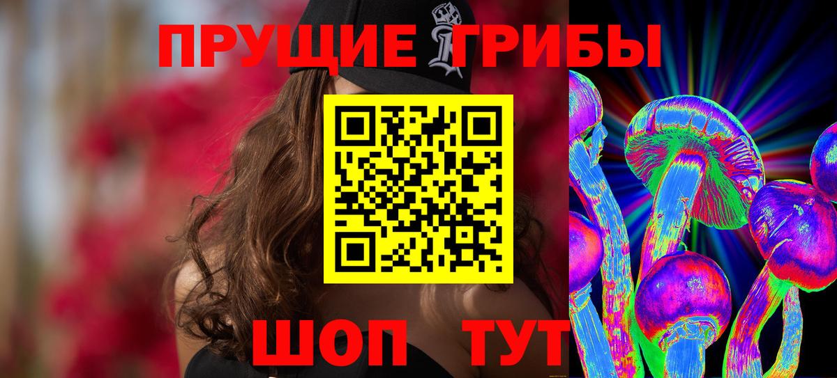 Псилоцибиновые грибы Psilocybe Курчалой